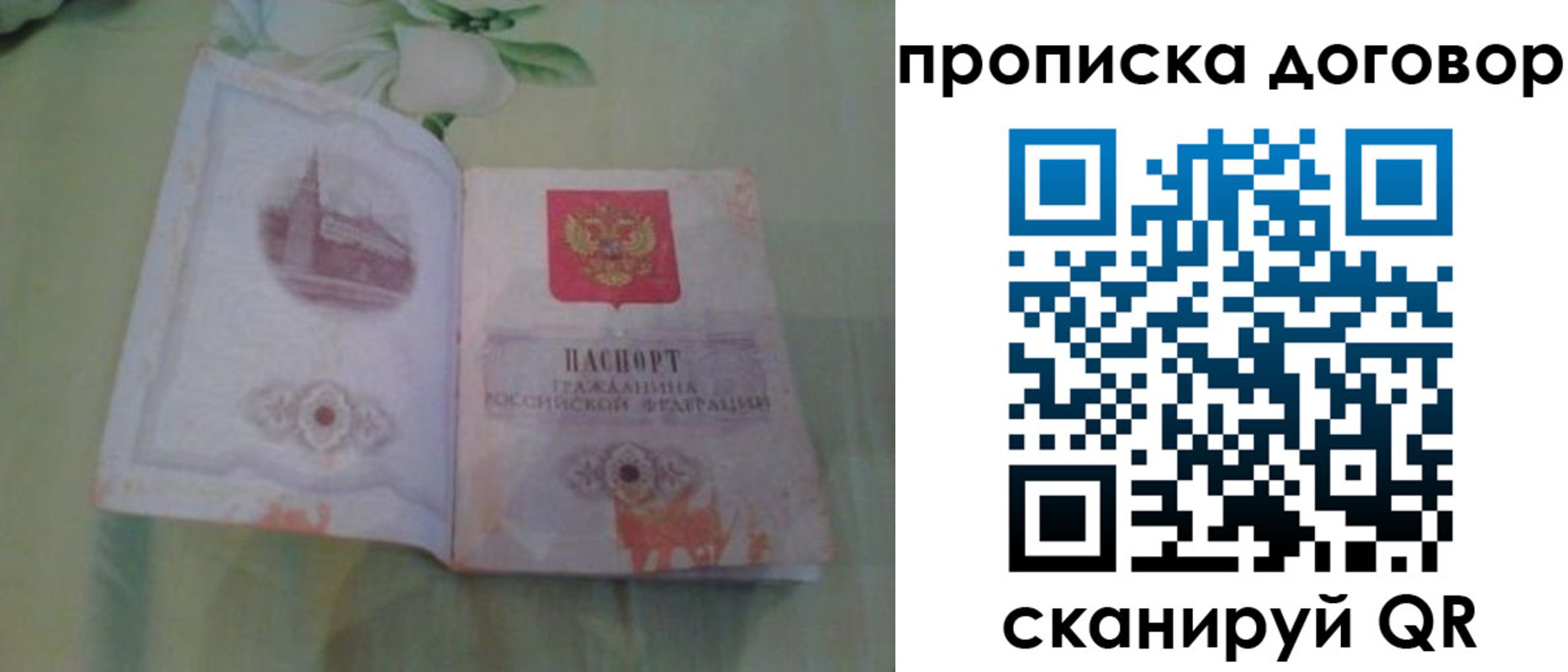 временная регистрация гарантия в Карталах